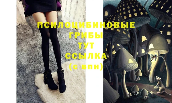 твердый Алексеевка